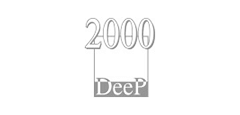 «ДИИП 2000»